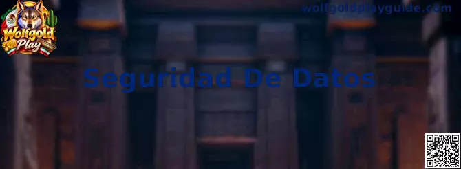 Guía visual de Seguridad De Datos para usuarios de Wolfgold Play