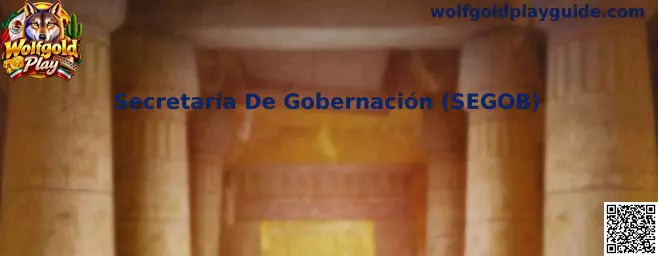 Verificación de licencias de la Secretaría De Gobernación SEGOB en México