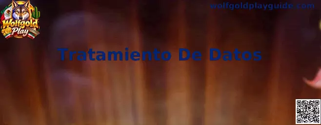 Guía visual sobre Tratamiento De Datos en Wolfgold Play